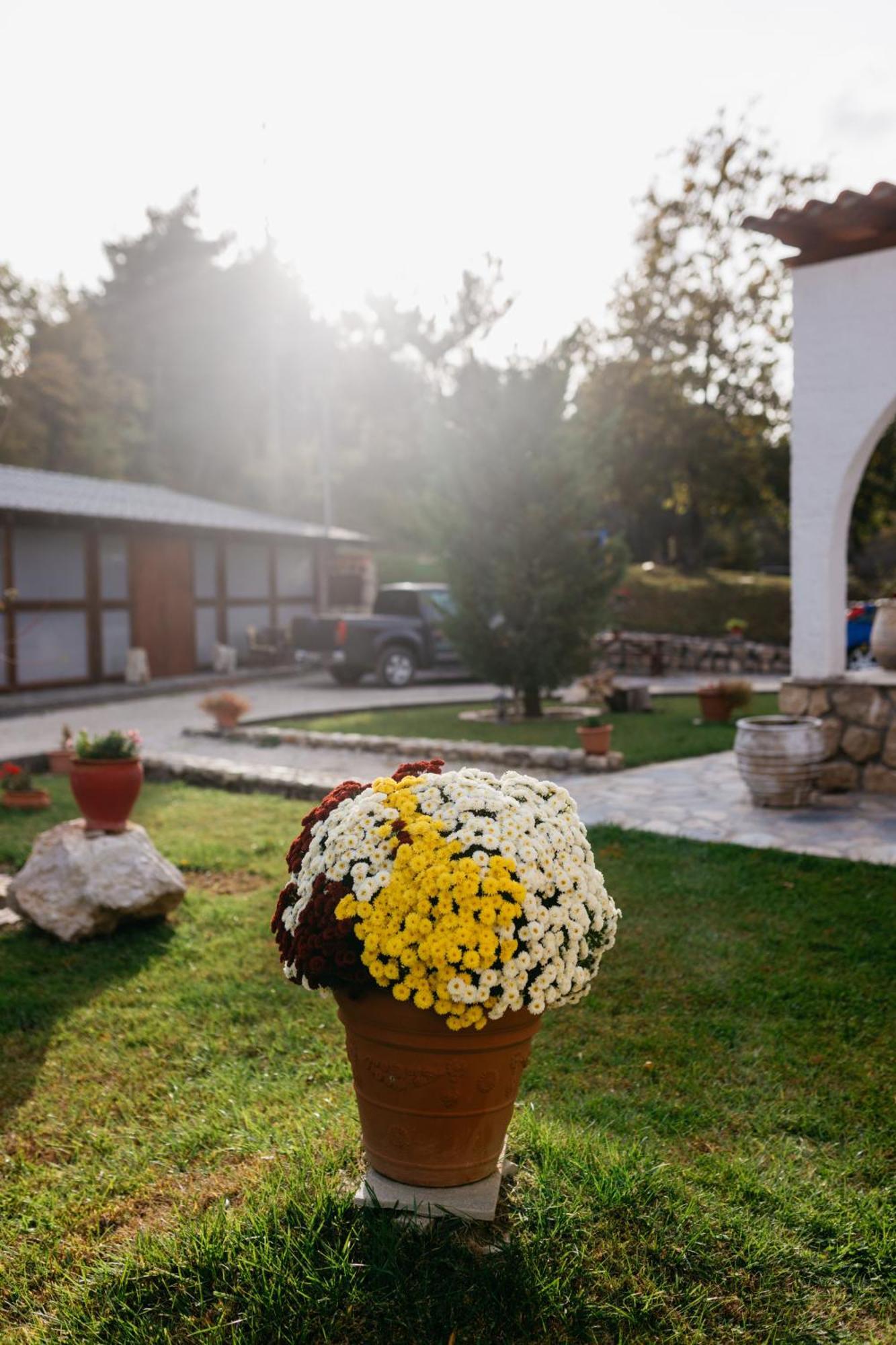 Apolithomeno Dasos Holiday Villas Near Alexandroupolis Lefkimmi  Exteriör bild